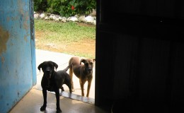 A Lack of Creative Vision Makes Prisoners of All of&nbsp;US…