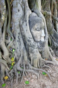 ????????????????????????????????????????